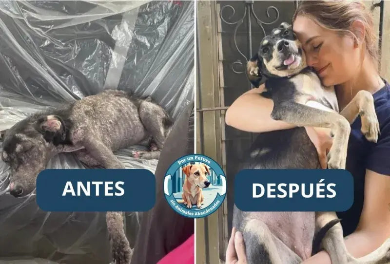 Antes y después