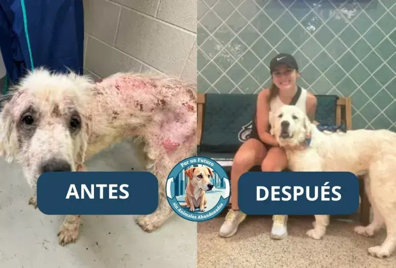 Antes y después