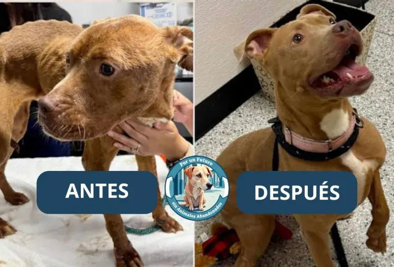 Antes y después