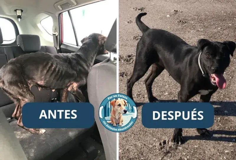Antes y después